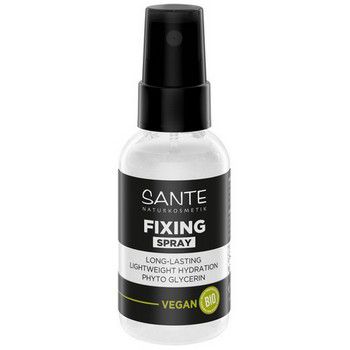 Sante Fixing Spray
