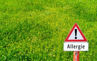 Allergene Pollen: Welche gibt es?